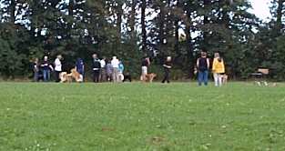 Eurasier tr&aelig;f Sj&aelig;lland 2002