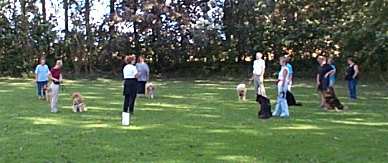 Eurasier tr&aelig;f Sj&aelig;lland 2002