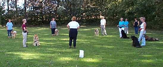 Eurasier tr&aelig;f Sj&aelig;lland 2002