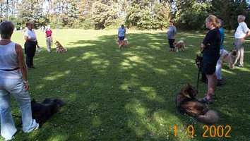 Eurasier tr&aelig;f Sj&aelig;lland 2002
