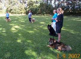 Eurasier tr&aelig;f Sj&aelig;lland 2002