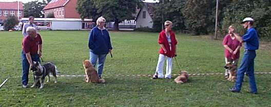 Eurasier tr&aelig;f Sj&aelig;lland 2002