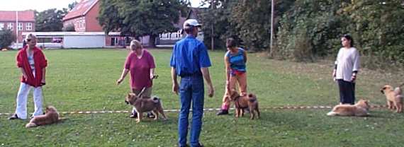 Eurasier tr&aelig;f Sj&aelig;lland 2002