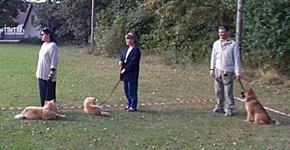 Eurasier tr&aelig;f Sj&aelig;lland 2002
