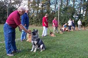 Eurasier tr&aelig;f Sj&aelig;lland 2002