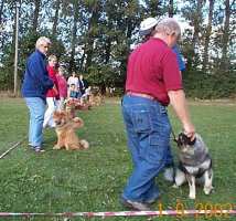 Eurasier tr&aelig;f Sj&aelig;lland 2002
