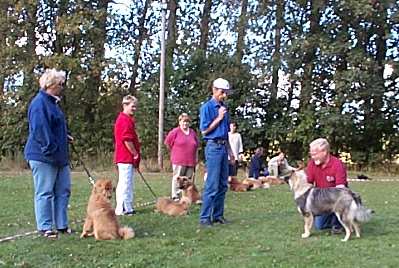 Eurasier tr&aelig;f Sj&aelig;lland 2002