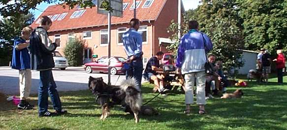 Eurasier tr&aelig;f Sj&aelig;lland 2002