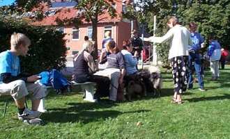 Eurasier tr&aelig;f Sj&aelig;lland 2002