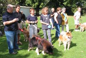 Eurasier tr&aelig;f Sj&aelig;lland 2002
