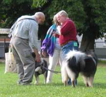 Eurasier tr&aelig;f Sj&aelig;lland 2002