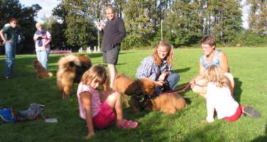 Eurasier tr&aelig;f Sj&aelig;lland 2002